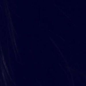 Meet your Posher, Otilio